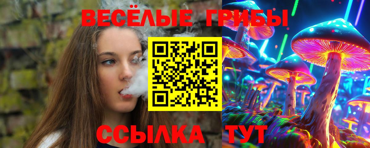 Шумерля  Псилоцибиновые грибы прущие грибы  Галлюциногенные грибы MAGIC MUSHROOMS  Вход с VPN 