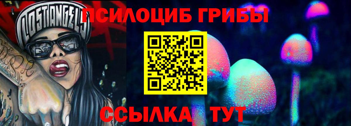 Галлюциногенные грибы Psilocybe Шумерля